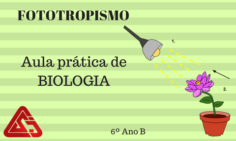 Aula de Biologia EFII 