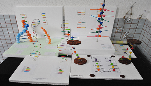 Maquetes das molculas de DNA e RNA 