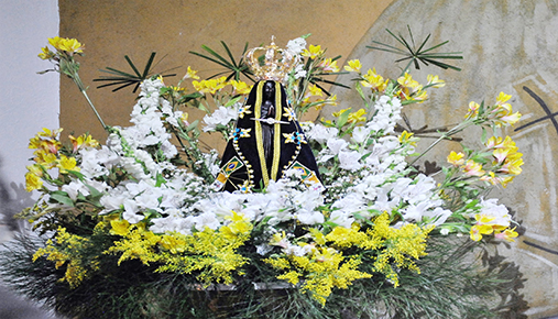 Visita da Imagem Peregrina de Nossa Senhora Aparecida 